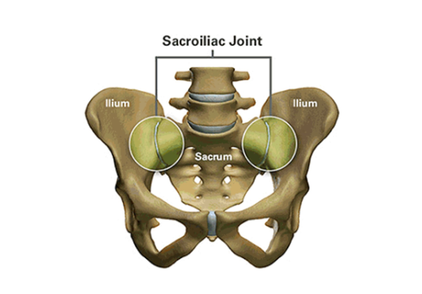 Sacroiliac Joint